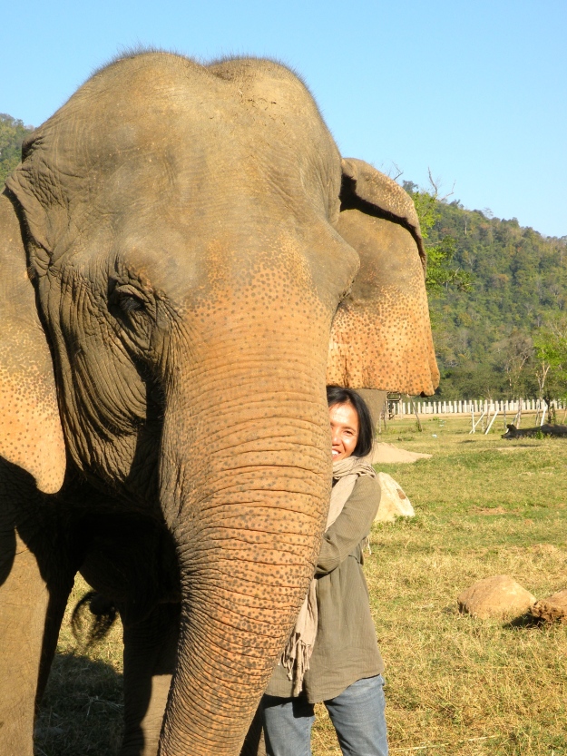 Lek Chailert, Founder of Elephant Nature Park 